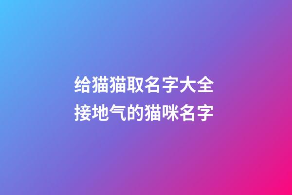 给猫猫取名字大全 接地气的猫咪名字